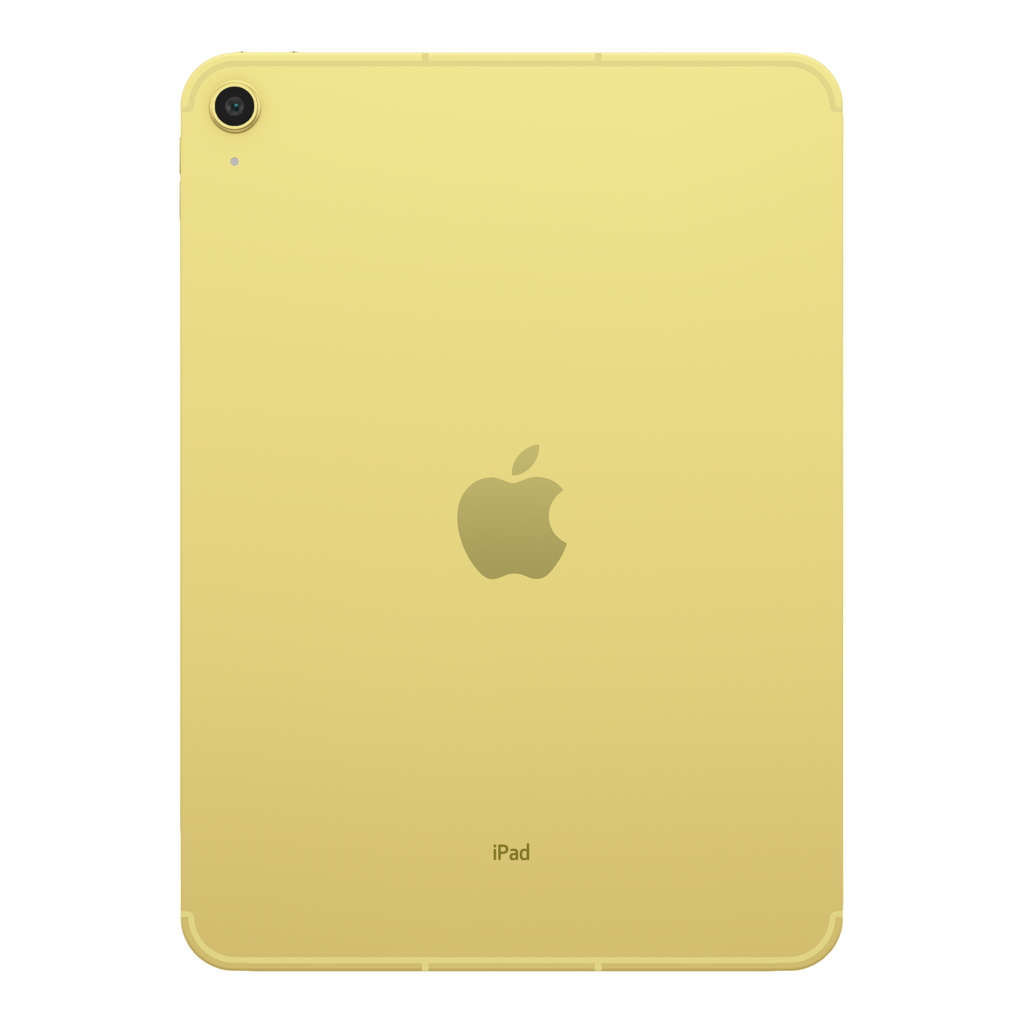 iPad 10th Gen 2022 256 GB 10.9"
