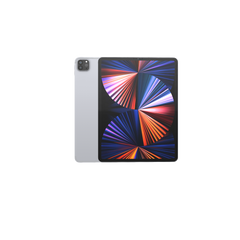iPad Pro 5th Gen 12.9 inch