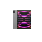 iPad Pro 5th Gen 12.9 inch