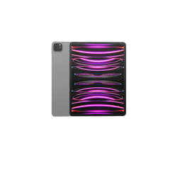 iPad Pro 5th Gen 12.9 inch
