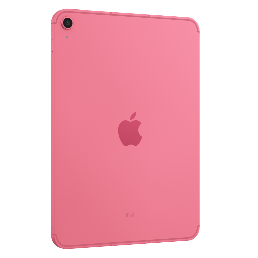 iPad 10th Gen 2022 256 GB 10.9"