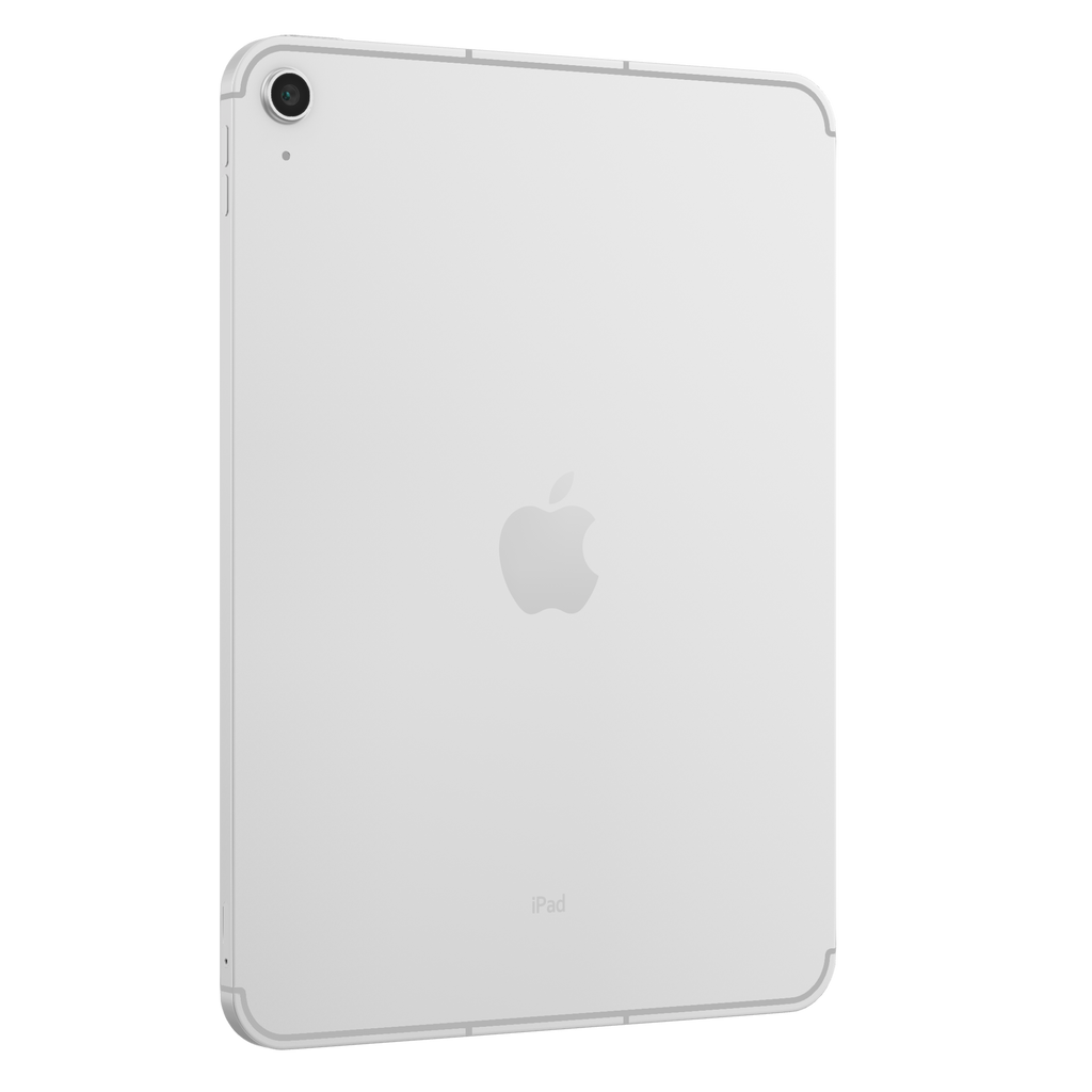 iPad 10th Gen 2022 256 GB 10.9"