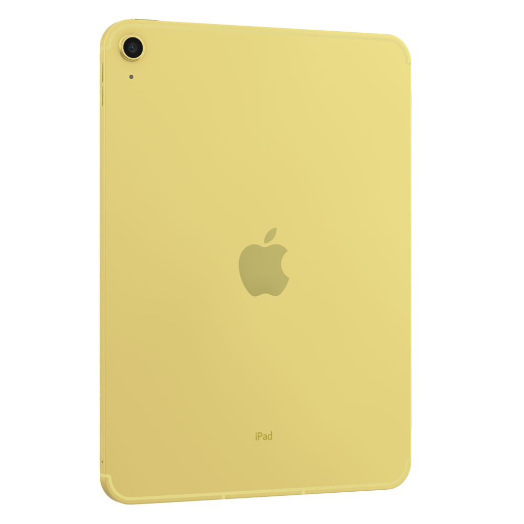 iPad 10th Gen 2022 256 GB 10.9"