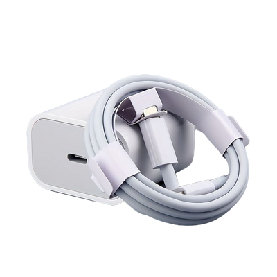 Fast Charger